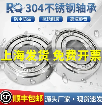 Corrosion Resistant 304 Stainless Steel Bearing S6300 6301 6302 6303 6304 6305 6306 6307Z