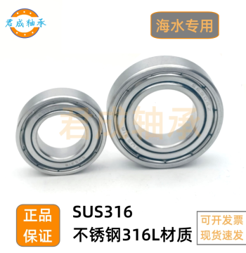 316L Stainless Steel Bearing S6200 6201 6202 6203 6204 6205 6206 6207Z