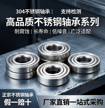 304 Stainless Steel Bearing S6200Z 6201 6202 6203 6204 6205 6206 6207 6208Z