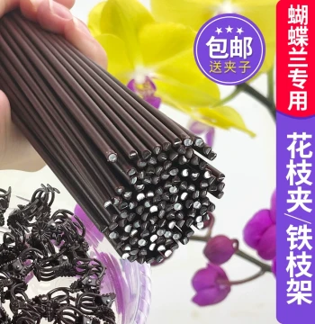 Phalaenopsis Orchid Support Clips, Specialized Fixed Climbing Vine Shaping Wire, Anti-Lodging Gardening Plant Support Rods