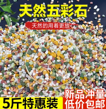 Natural Colored Stones Fish Tank Landscaping Substrate Succulent Potting Top Dressing Pebbles Flower Decoration Colorful Small Stones