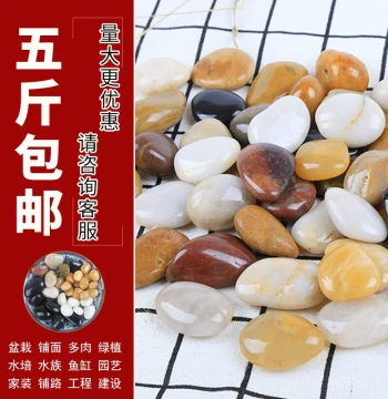5 lbs Natural River Pebbles for Paving, Fish Tank Landscaping, Home Decor, and Garden Courtyards