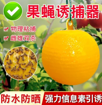 Sticky Ball Trap for Fruit Flies and Wasps - Dual-Sided Yellow Board with Attractant