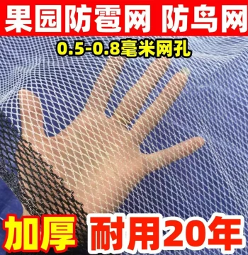 Hail Protection Net for Orchards, Bird Netting for Grapes, Agricultural Protective Mesh, Anti-Hail Net for Fruit Trees, Orchard and Grapevine Guardian