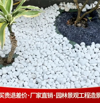 40 lbs Natural White Pebbles for Landscaping, Courtyard Scenery, Paving, Flower Pots, Fish Tanks, Succulent Top Dressing, Gravel for Engineering Construction