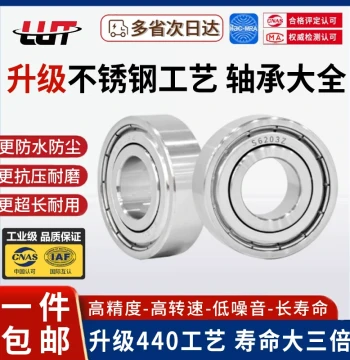 Stainless Steel Bearings Non-304 S6200 6201 6202 6203 6204 6205 6206 07 08 09ZZ