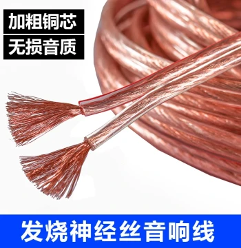 Professional Audiophile Oxygen-Free Copper Audio Cable Connection Wire Universal Pure Copper Speaker Wire Audio Cable Speaker Wire