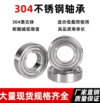 304 Stainless Steel Bearing S6202 S6203 S6204 S6205 S6206 S6207 S6208Z Waterproof