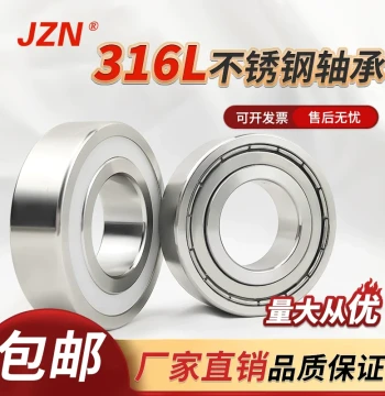 316L Corrosion-Resistant Stainless Steel Bearings S6000, 6001, 6002, 6003, 6004, 6005, 6006, 6007
