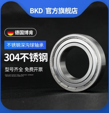 German BKD Imported Stainless Steel Bearing S6900ZZ/S6901/S6902/6903RS 304 440 Material