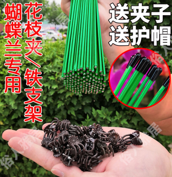 Phalaenopsis Orchid Support Stake, Gardening Flower Branch Clip, Vine Climbing Plant Fixing Clip