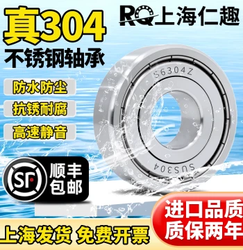 304 Corrosion-Resistant Stainless Steel Bearings S6300 6301 6302 6303 6304 6305 6306ZZ 6307