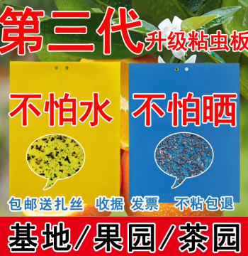 Sticky Insect Board Yellow Board Double-Sided Extra Sticky Thrips Blue Board Insect Trap Fruit Fly Board Wasp Sticker Specialized for Orchards Tea Gardens Greenhouses