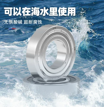 304 Stainless Steel Imported Bearing Rust-Proof 6204 6201 6202 6203 6200 6205 6206 6208