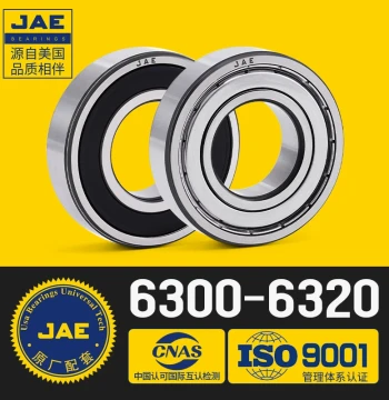 JAE Bearing S 6300 Stainless Steel 6301 Motor 6302 6303 High Speed 6304 E-bike 6305 Z RS