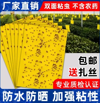 Sticky Insect Board Yellow Board Double-sided Yellow Blue Board Thrips Fruit Fly Trap Sticky Flying Insects Fungus Gnats Orchard Greenhouse Vegetable Garden