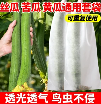 Luffa Bag Fruit and Vegetable Insect Protection Bag Special Melon Cover Bag Bitter Melon Fruit Cucumber Insect Net Bag Vegetables