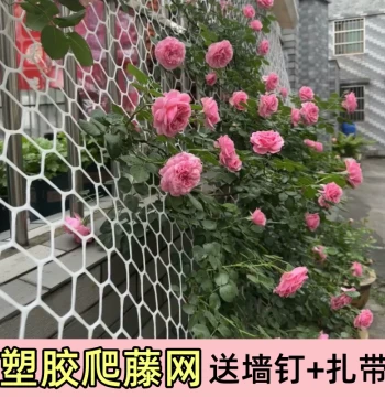 Plastic Trellis Net for Climbing Roses and Vines, Plant Wall Grid, Garden Vine Support Mesh