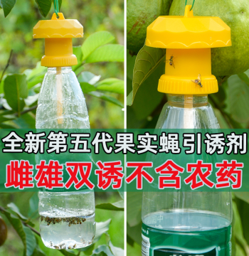 Simple Fruit Fly Trap Lid with Lure for Orchards and Melon Fields; Bait and Capture Solution for Oriental Fruit Flies