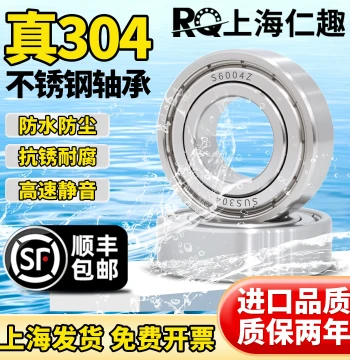 304 Corrosion-Resistant Stainless Steel Bearings S6000 6001 6002 6003 6004 6005 6006ZZ 6007