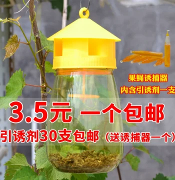 Fruit Fly Trap for Orchards and Vegetable Gardens Fruit Fly Lure with Built-in Trap and Attractant Free Shipping