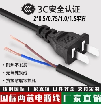Pure Copper Two-Core National Standard Two-Prong Plug with Wire, 2*0.5/0.75/1.0 mm², Universal Power Cord for Appliances