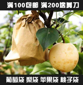Specialized Double-Layer Pear Bags Outer Yellow Inner Black Golden Autumn Late Autumn Pear Bag Peach Waterproof Insect-Proof Protective Bag