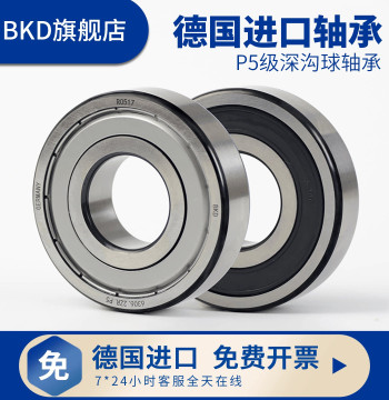 German BKD Imported High-Speed Deep Groove Ball Bearings 6301/6302/6303/6304/6305/6306/6307