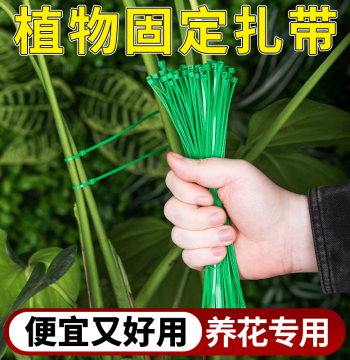 Plant Fixation Tie Binding Wire Rose Climbing Greenery Shaping Branch Trunk Fixation Cable Tie Bundling Rope Binding Wire