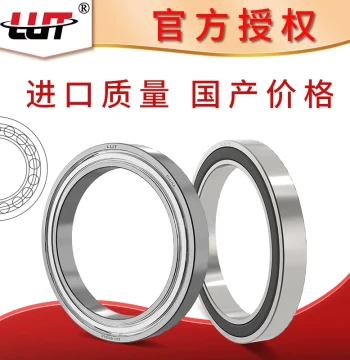 Deep Groove Ball Bearings 61816 61817 61818 61819 61820 61821 61822 61824