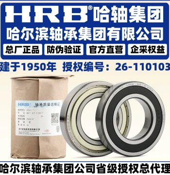 HRB Harbin Bearings 6300, 6301, 6302, 6303, 6304 - 2Z RZ Z Deep Groove Ball