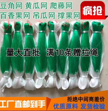 Manufacturer Direct Supply Climbing Net, Vine Support Net, Fruit Prop Net for Beans, Hanging Melons, Luffa, Bitter Melon, Cucumber Trellis, Passion Fruit, and WoGAN Citrus