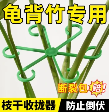 Monstera Support Pole, Flower Support Frame, Branch Gathering Rack, Plant Anti-Lodging Bracket, Green Plant Fixing Essential
