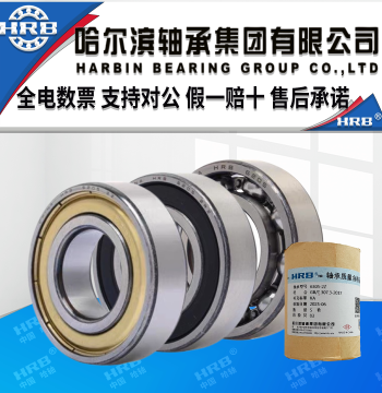 HRB Harbin Bearing 6300 6301 6302 6303 6304 6305 ZZ RZ Deep Groove Double Sealed