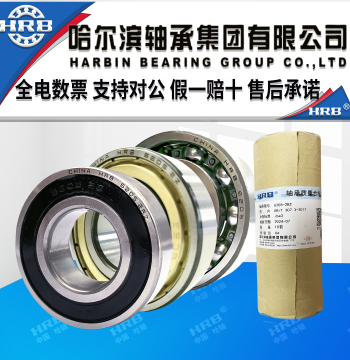HRB Harbin Bearings 6200 6201 6202 6203 6204 6205 RZ ZZ Double-Sealed Deep Groove
