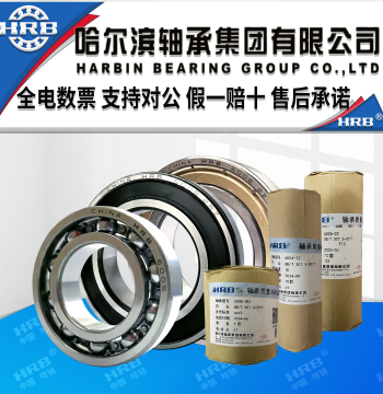 hrb Harbin Bearing 6003 6004 6005 6006 6007 6008rz zz Deep Groove Ball Double Sealed