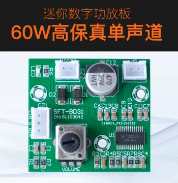 12V Amplifier Board Mini Mono 60W High-Power Module Audiophile HIFI Digital Audio High-Fidelity Sound Effect