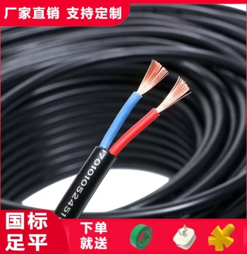 National Standard Flexible Wire Household RVV Cable Sheathed Wire 2/3 Core Charging Power Cord 1.5/4/6/10 sq.mm