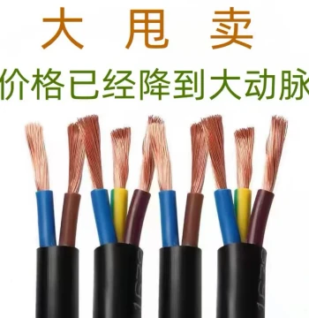 National Standard 2-Core Sheathed Cable 2.5/4/6/10 mm² - Outdoor EV Charging Line and 3-Core Power Cable