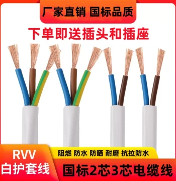 White Wire National Standard Three-Phase Cable 2-Core 3-Core 1.0 1.5 2.5 4 sq.mm Outdoor Household Power Sheathed Cable