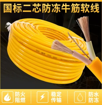 Anti-Freezing and Waterproof Power Cord - National Standard 2.5/4/1.5 sq.mm Two-Core Sheathed Cable for Home Use