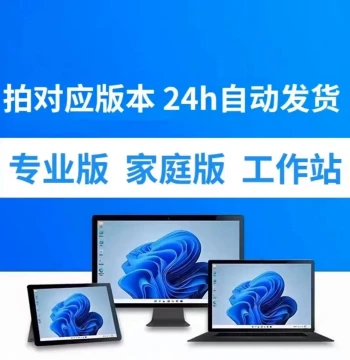 Win10/Windows11 Home, Enterprise, Professional, Home/Pro, Workstation System Activation Keys