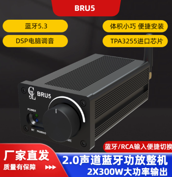 TPA3255 2x300W Bluetooth 5.3 Amplifier Stereo High-Power DSP Tuning Home Theater BRU5