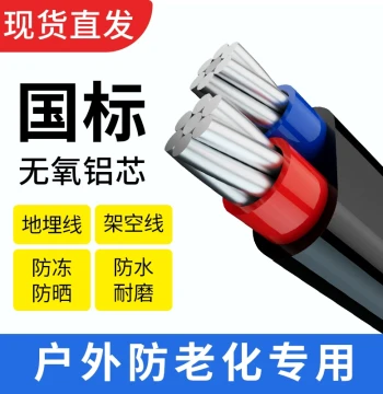 National Standard 2-Core Sheathed Wire Aluminum Core Household Outdoor Wire 4 6 10 16 25 sq mm Dual-Core Aluminum Cable