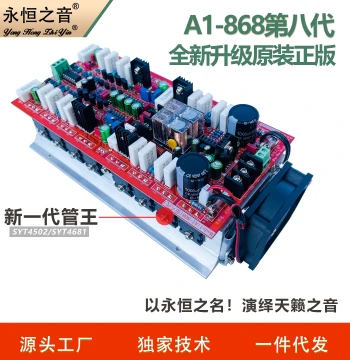 Eternal Sound A1 8th Generation Original Imported HiFi Audiophile High-Power Rear Amplifier Board Finished Audio Board