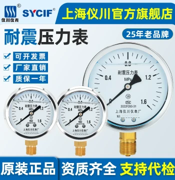 Shanghai Yichuan Instrument Factory Vibration-Resistant Pressure Gauge YN-60 100 150 Oil Pressure Gauge Radial Mount Hydraulic Pneumatic Oil