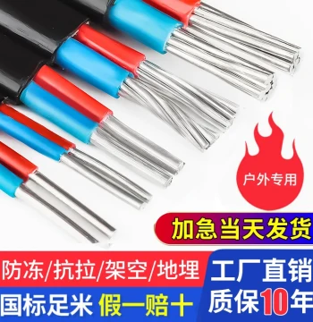 National Standard 2-Core Sheathed Wire Aluminum Core Home Outdoor Wire 4 6 10 16 25 sq mm Dual-Core Aluminum Cable