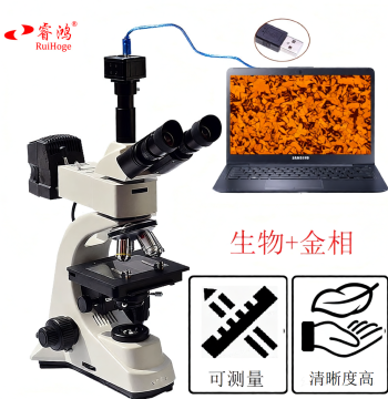 Ruihoge Metallurgical Microscope, Polarized Biological Chip Metal Detection, Optical Industrial Measurement, Material Particle Size Analysis BMS Metallurgical Analyzer