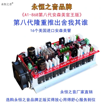 Eternal Sound New Upgrade A1 8th Generation USA Imported 4281/4302 Bias Class A High-Power HIFI Amplifier Board