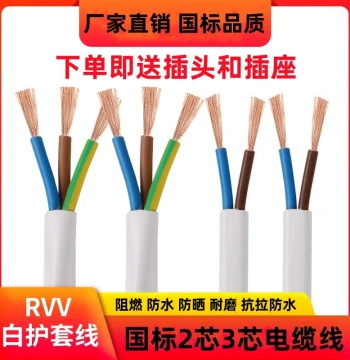 White Wire National Standard Three-Phase Cable 2-Core 3-Core 1.0 1.5 2.5 4 sq.mm Outdoor Household Power Sheathed Cable